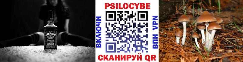Псилоцибиновые грибы мухоморы  Тула 