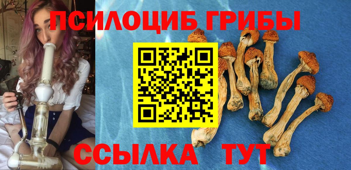 Галлюциногенные грибы Psilocybe Тула