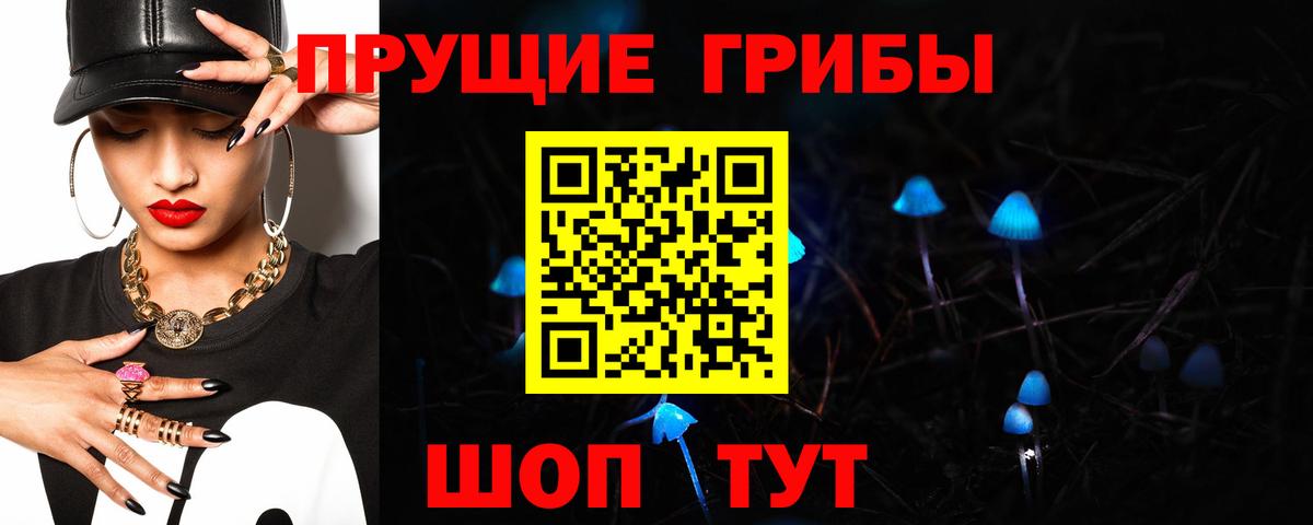 Псилоцибиновые грибы GOLDEN TEACHER  Вход с VPN  Галлюциногенные грибы Psilocybine cubensis  Тула 